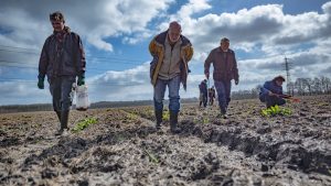 lezing neanderthalers Noord-Nederland